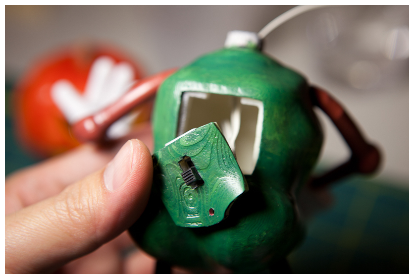 Switch panel covering body opening